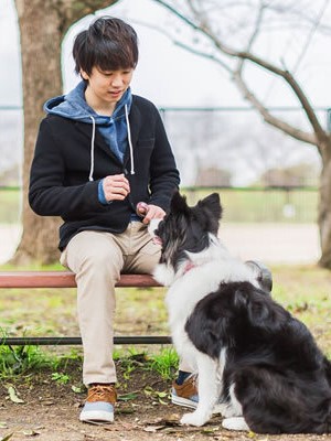 櫻 綾太